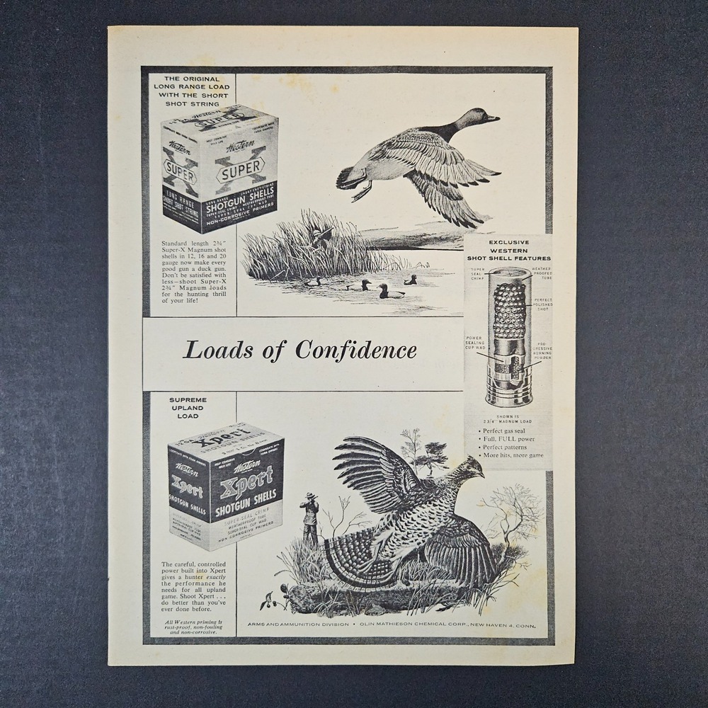 1955 Western Arms & Ammunition Olin Vintage Print Ad New Haven CT Shotgun Shells